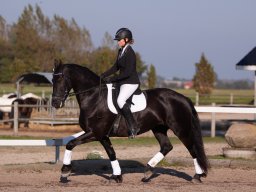 IMG_7372_web